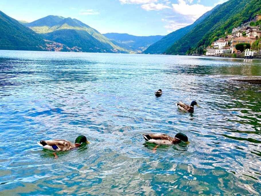 Una Finestra Sul Lago Argegno Exterior photo